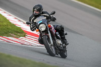 Oulton-Park-21st-March-2020;PJ-Motorsport-Photography-2020;anglesey;brands-hatch;cadwell-park;croft;donington-park;enduro-digital-images;event-digital-images;eventdigitalimages;mallory;no-limits;oulton-park;peter-wileman-photography;racing-digital-images;silverstone;snetterton;trackday-digital-images;trackday-photos;vmcc-banbury-run;welsh-2-day-enduro